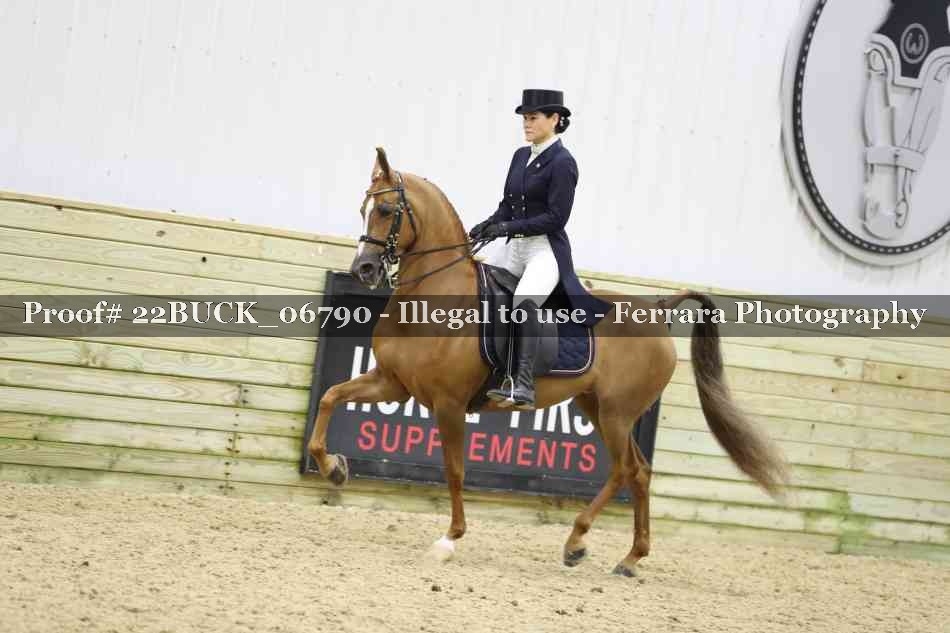 Proof 22BUCK_06790