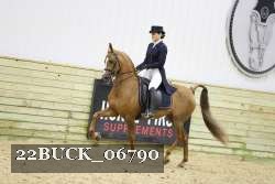 22BUCK_06790 proof