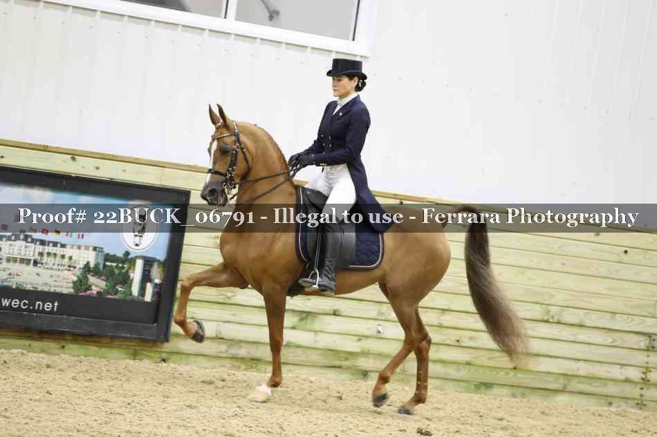 Proof 22BUCK_06791