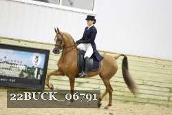 22BUCK_06791 proof