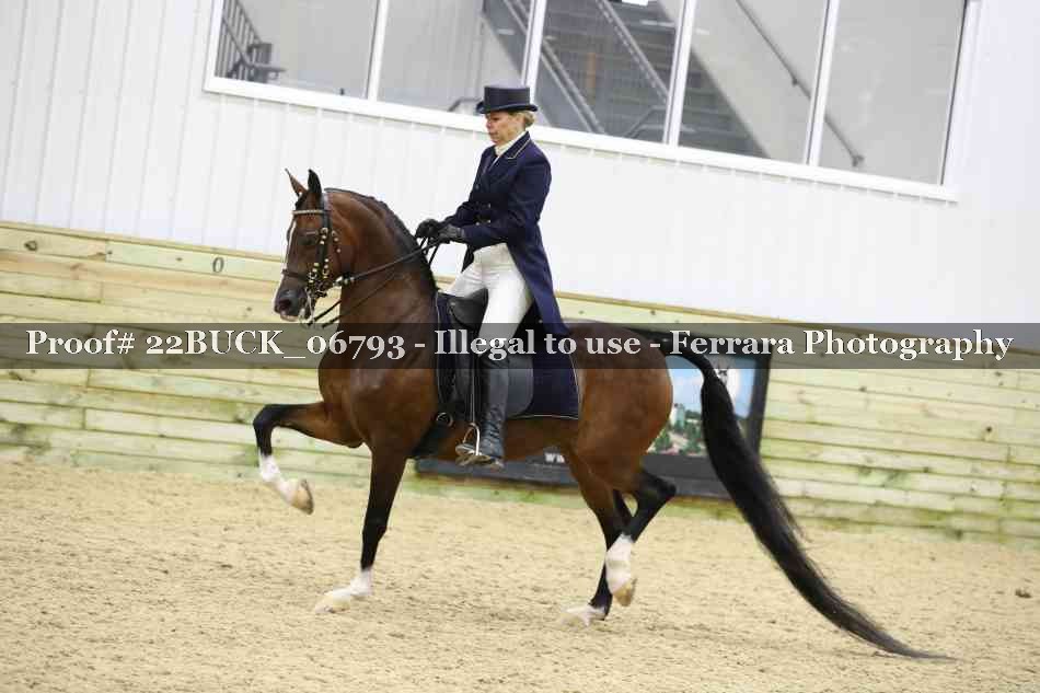 Proof 22BUCK_06793