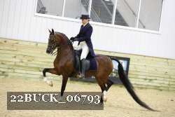 22BUCK_06793 proof