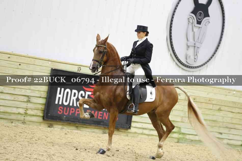 Proof 22BUCK_06794