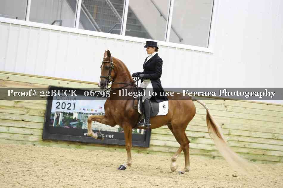 Proof 22BUCK_06795