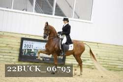 22BUCK_06795 proof