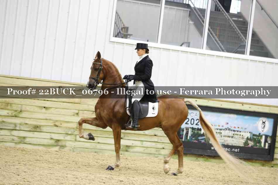 Proof 22BUCK_06796