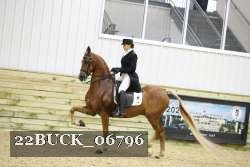 22BUCK_06796 proof