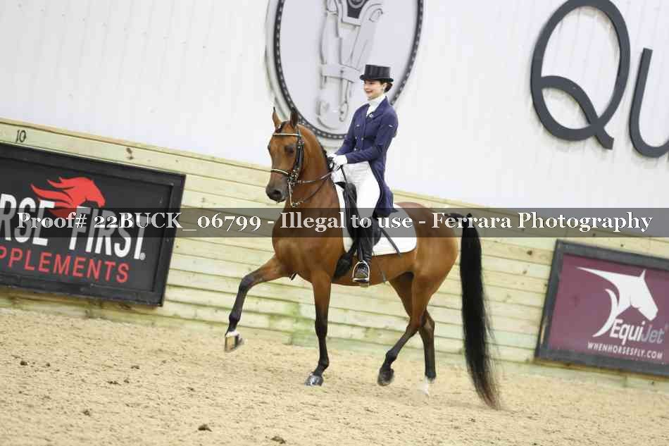 Proof 22BUCK_06799