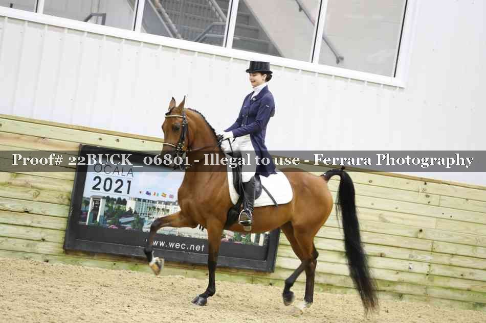 Proof 22BUCK_06801