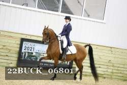 22BUCK_06801 proof