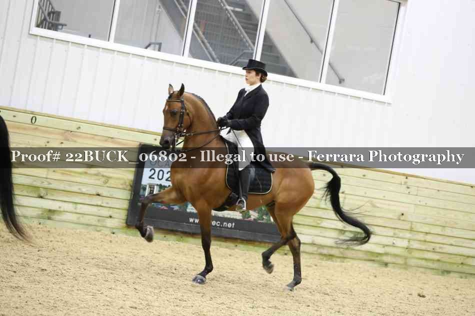 Proof 22BUCK_06802