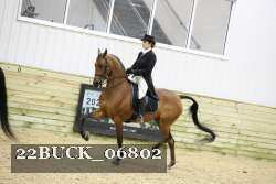 22BUCK_06802 proof