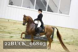 22BUCK_06803 proof