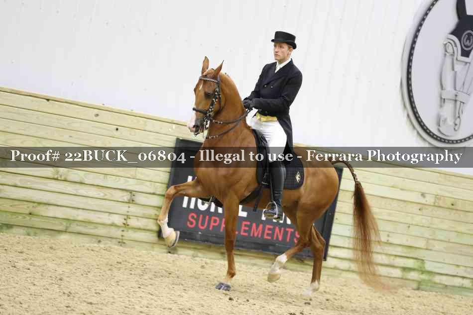 Proof 22BUCK_06804