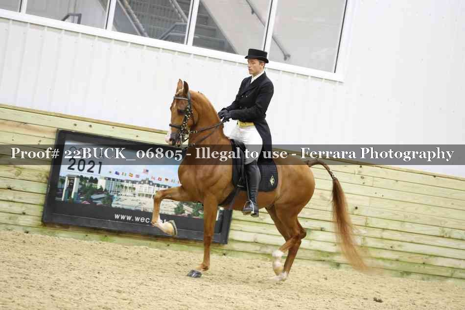 Proof 22BUCK_06805