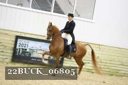 22BUCK_06805 proof