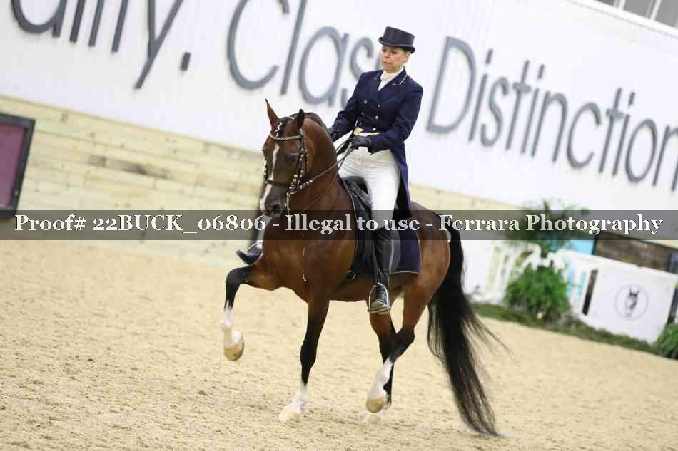Proof 22BUCK_06806