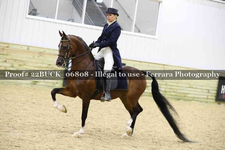 Proof 22BUCK_06808