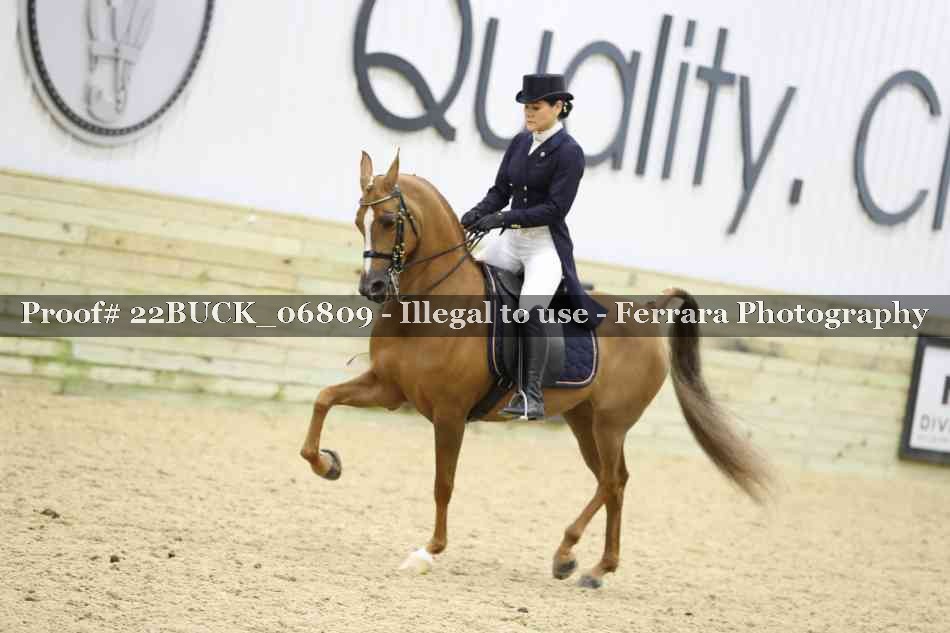 Proof 22BUCK_06809