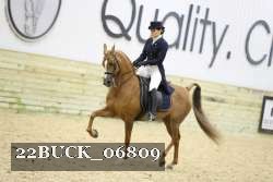 22BUCK_06809 proof