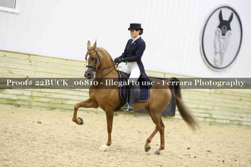 Proof 22BUCK_06810