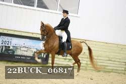 22BUCK_06817 proof