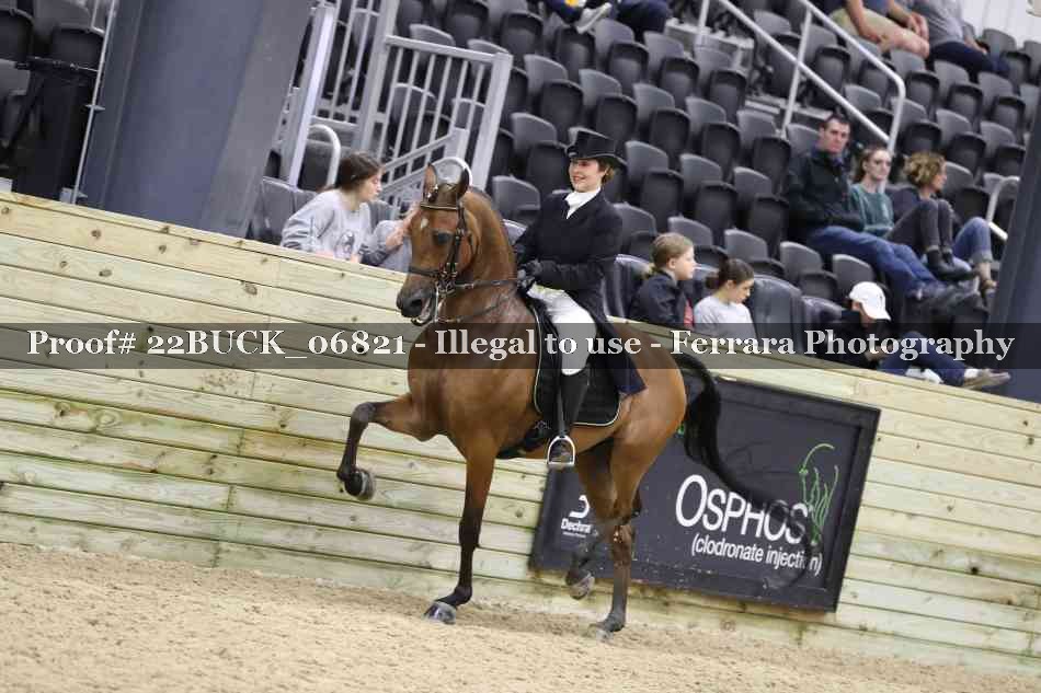 Proof 22BUCK_06821