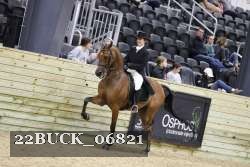 22BUCK_06821 proof