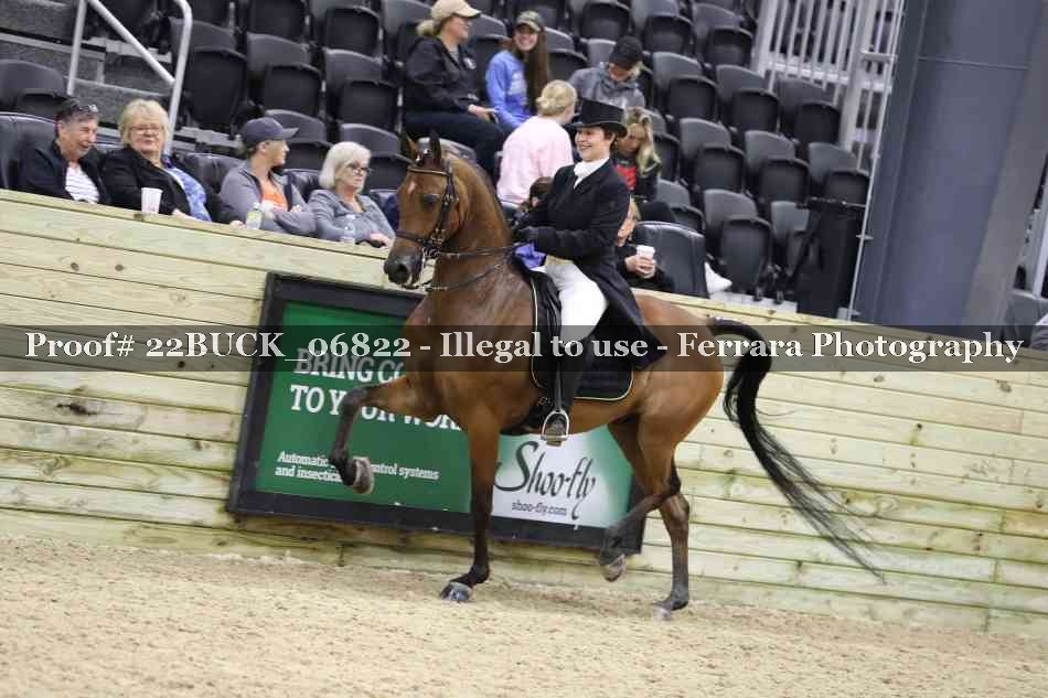 Proof 22BUCK_06822