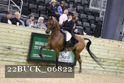 22BUCK_06822 proof