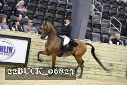22BUCK_06823 proof