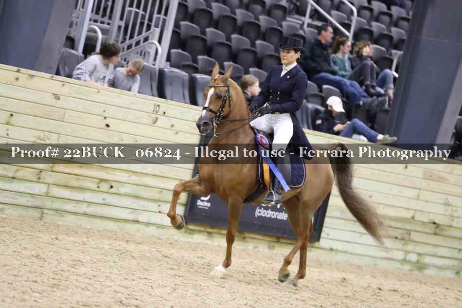 Proof 22BUCK_06824