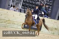 22BUCK_06824 proof