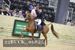 22BUCK_06825 proof