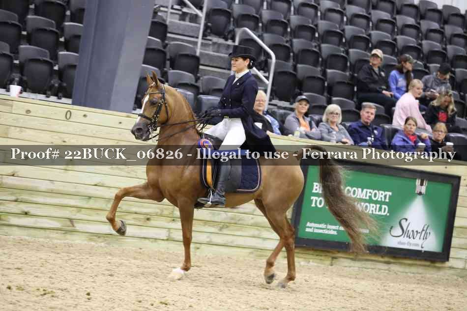 Proof 22BUCK_06826