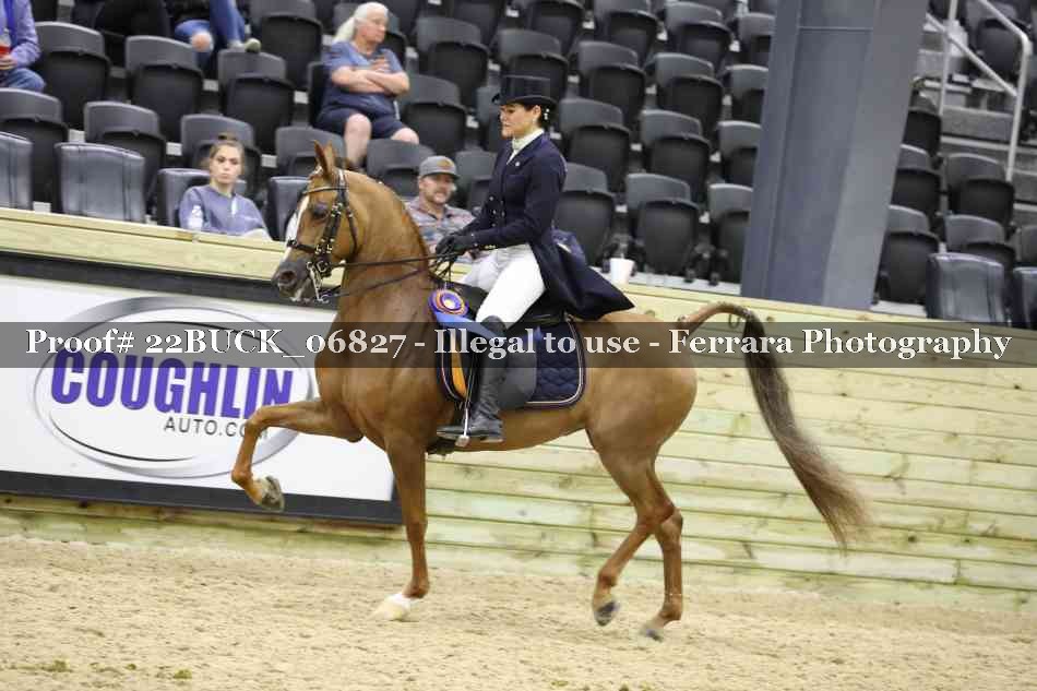 Proof 22BUCK_06827