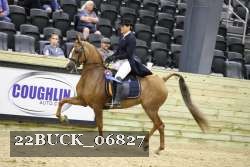 22BUCK_06827 proof