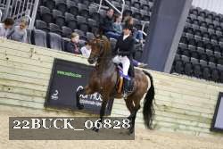 22BUCK_06828 proof