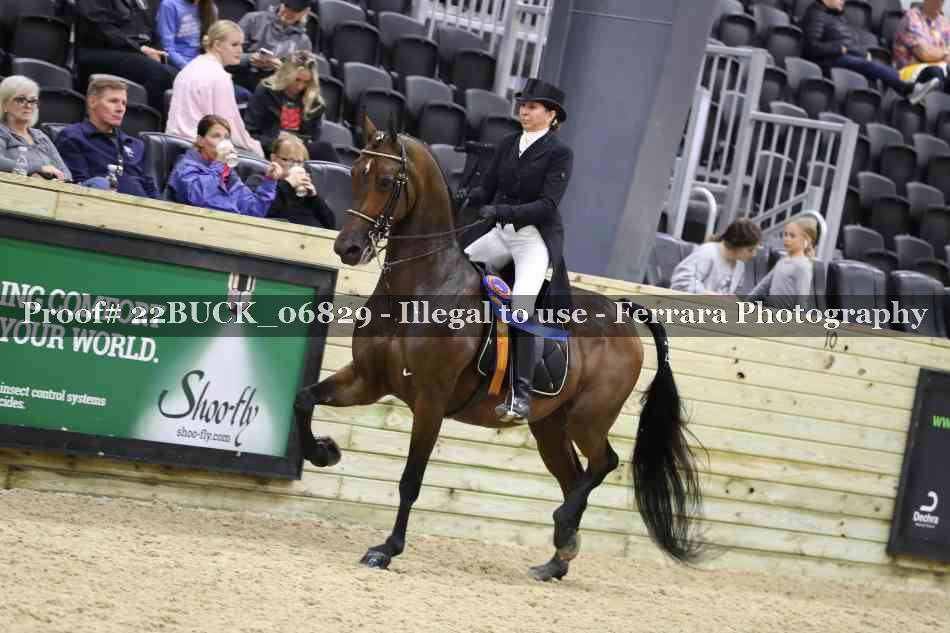 Proof 22BUCK_06829