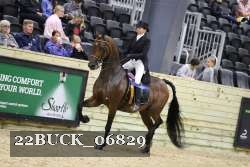 22BUCK_06829 proof