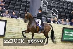 22BUCK_06830 proof
