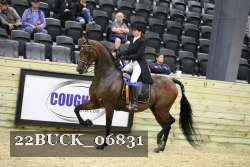22BUCK_06831 proof