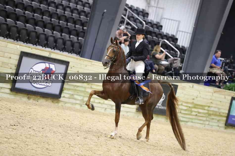 Proof 22BUCK_06832