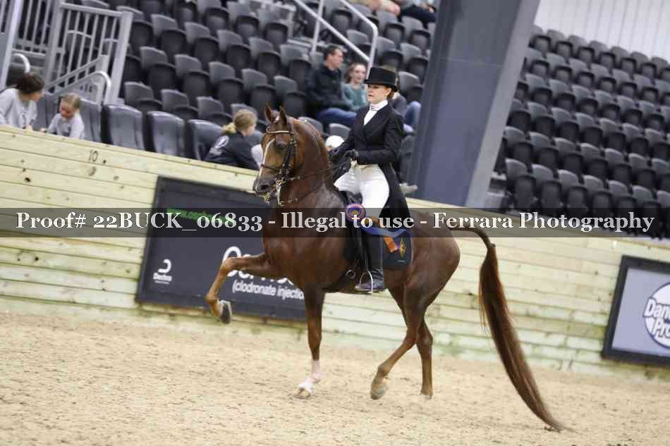 Proof 22BUCK_06833
