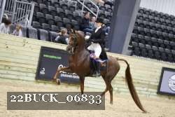 22BUCK_06833 proof