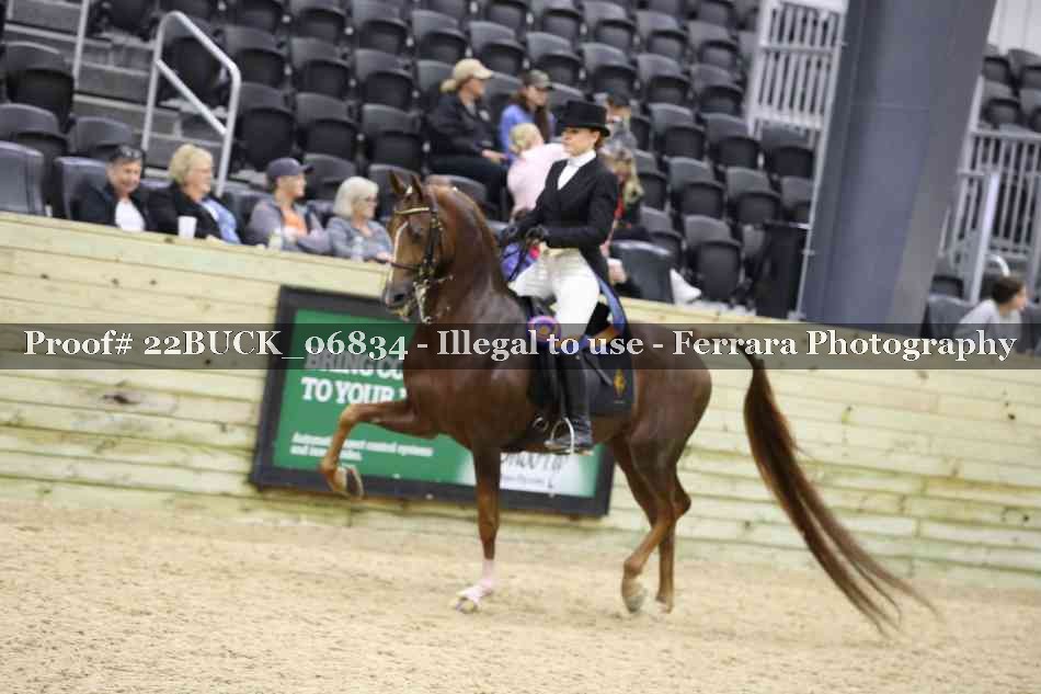 Proof 22BUCK_06834