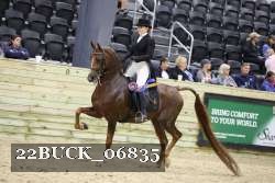 22BUCK_06835 proof