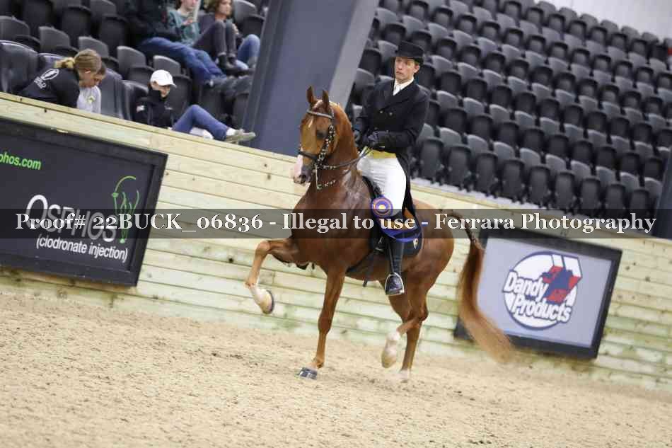 Proof 22BUCK_06836