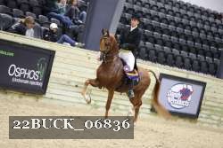 22BUCK_06836 proof