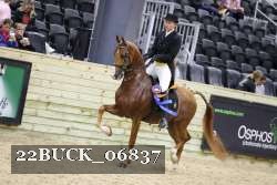 22BUCK_06837 proof